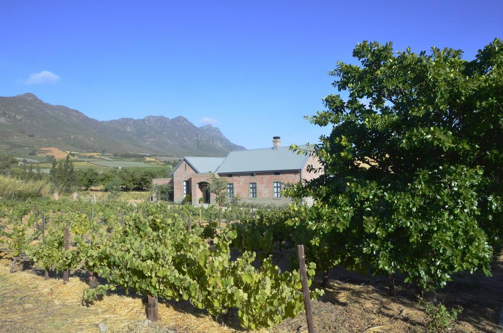 Vineyard Views Country House Riebeek-Kasteel Exteriör bild
