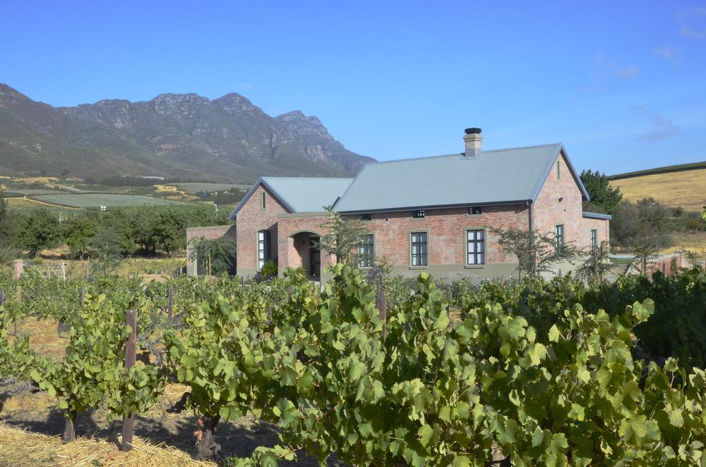 Vineyard Views Country House Riebeek-Kasteel Exteriör bild