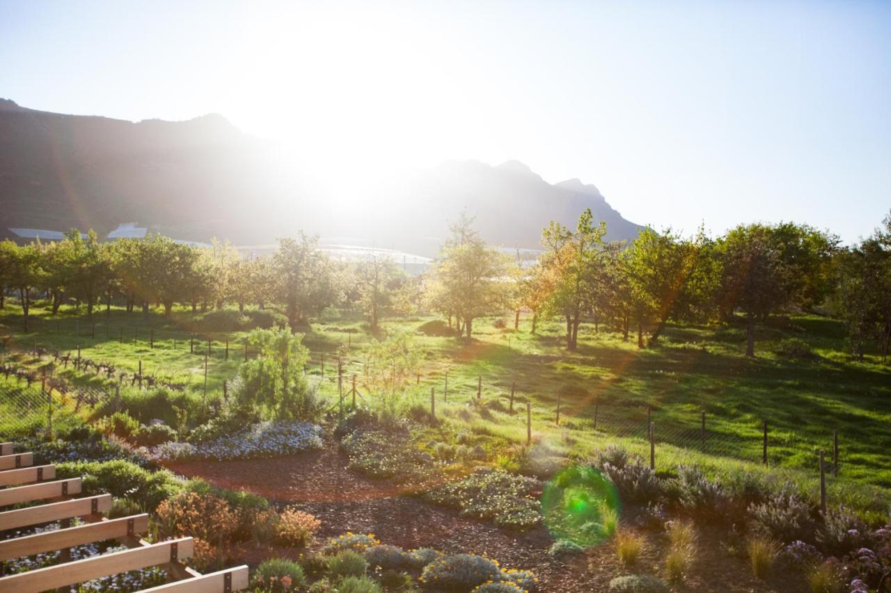 Vineyard Views Country House Riebeek-Kasteel Exteriör bild