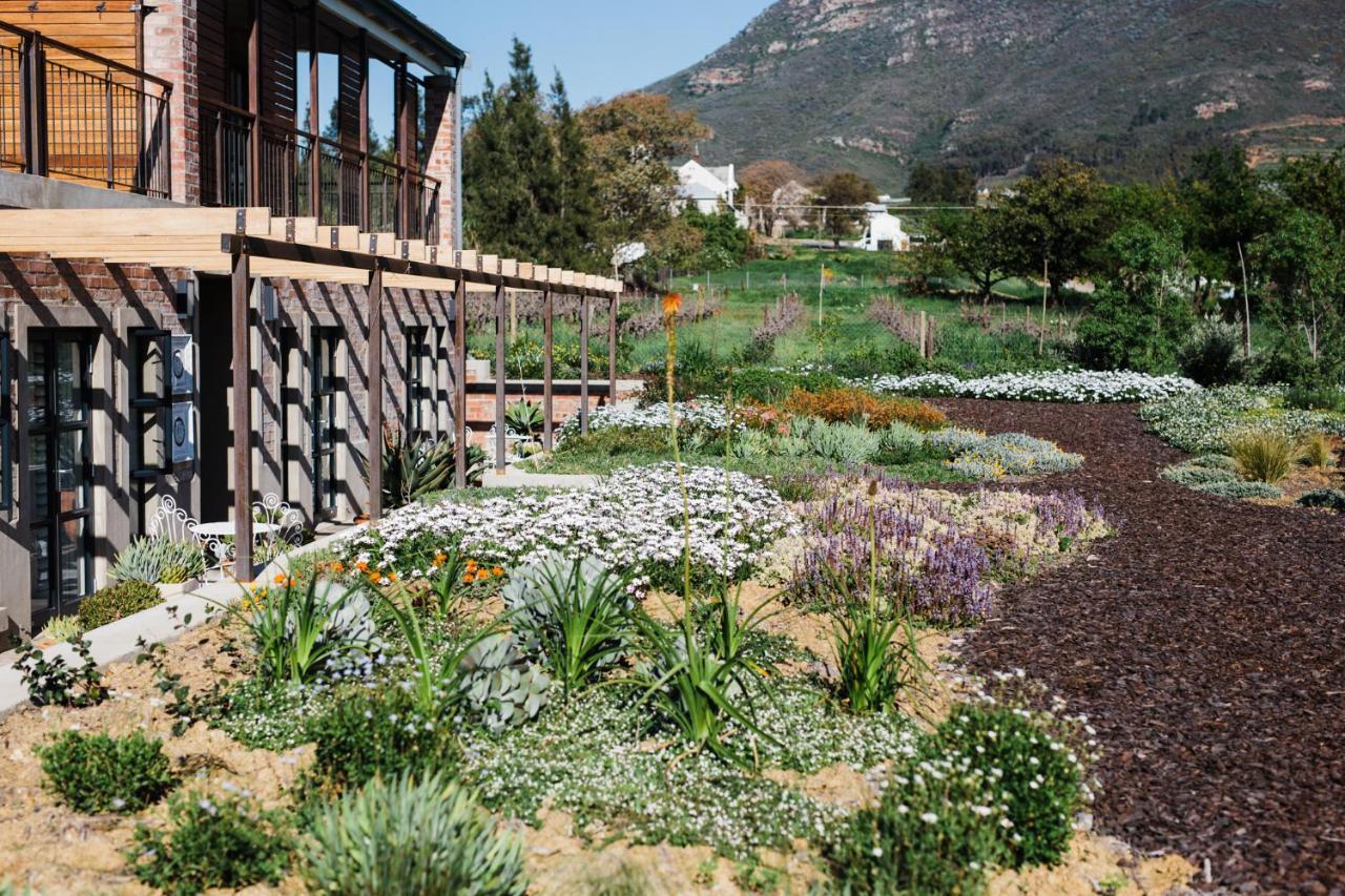 Vineyard Views Country House Riebeek-Kasteel Exteriör bild