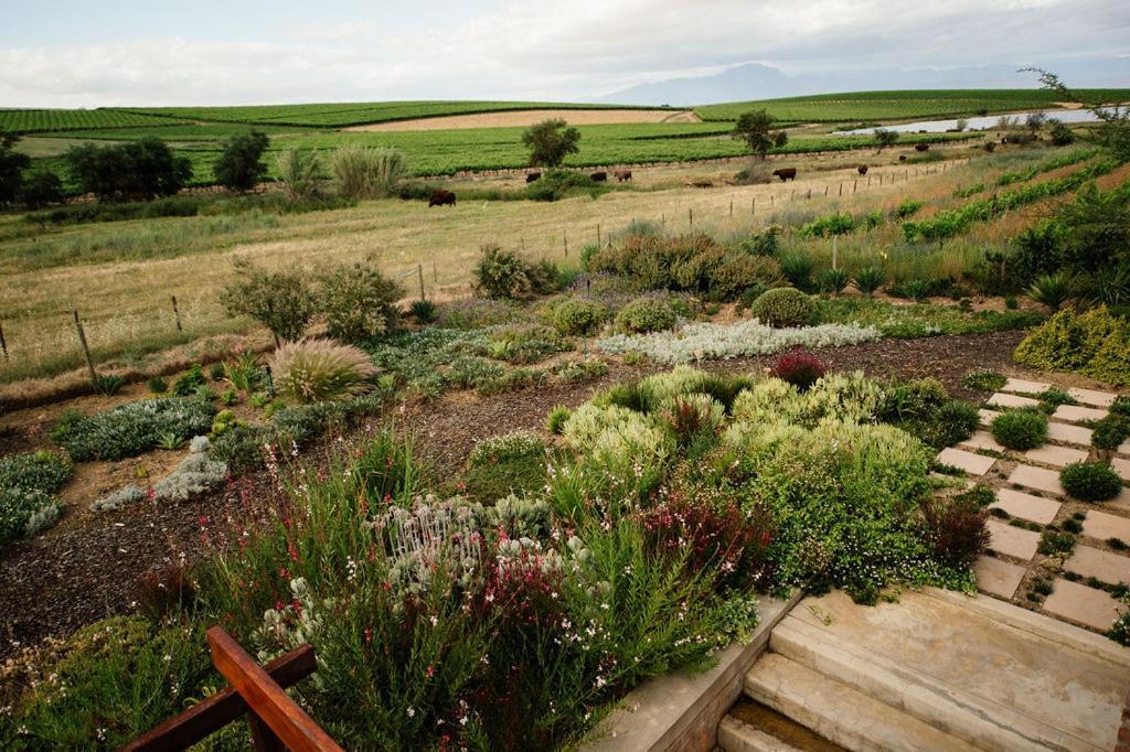 Vineyard Views Country House Riebeek-Kasteel Exteriör bild