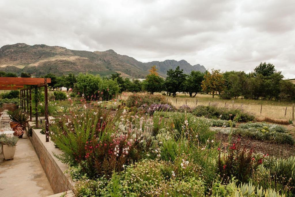 Vineyard Views Country House Riebeek-Kasteel Exteriör bild