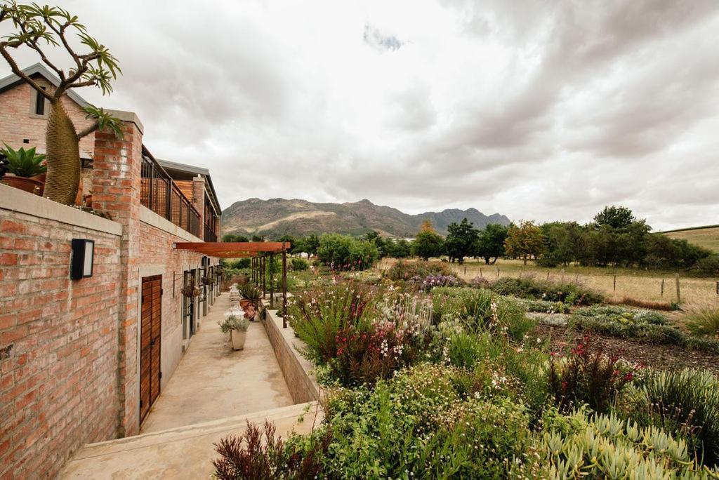 Vineyard Views Country House Riebeek-Kasteel Exteriör bild