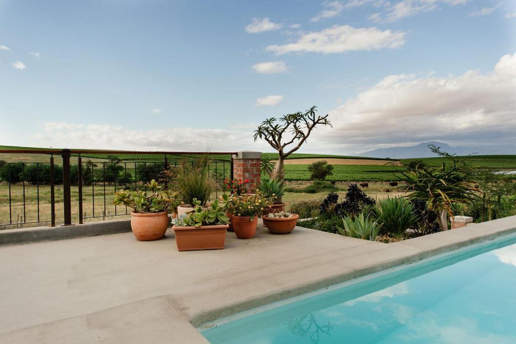 Vineyard Views Country House Riebeek-Kasteel Exteriör bild